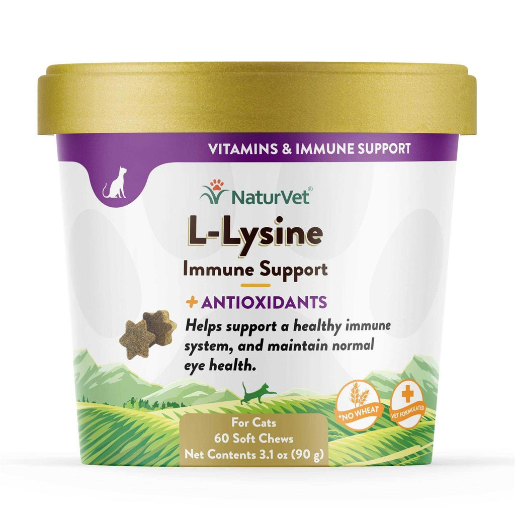 L-Lysine Immune Support Plus Antioxidants U574081