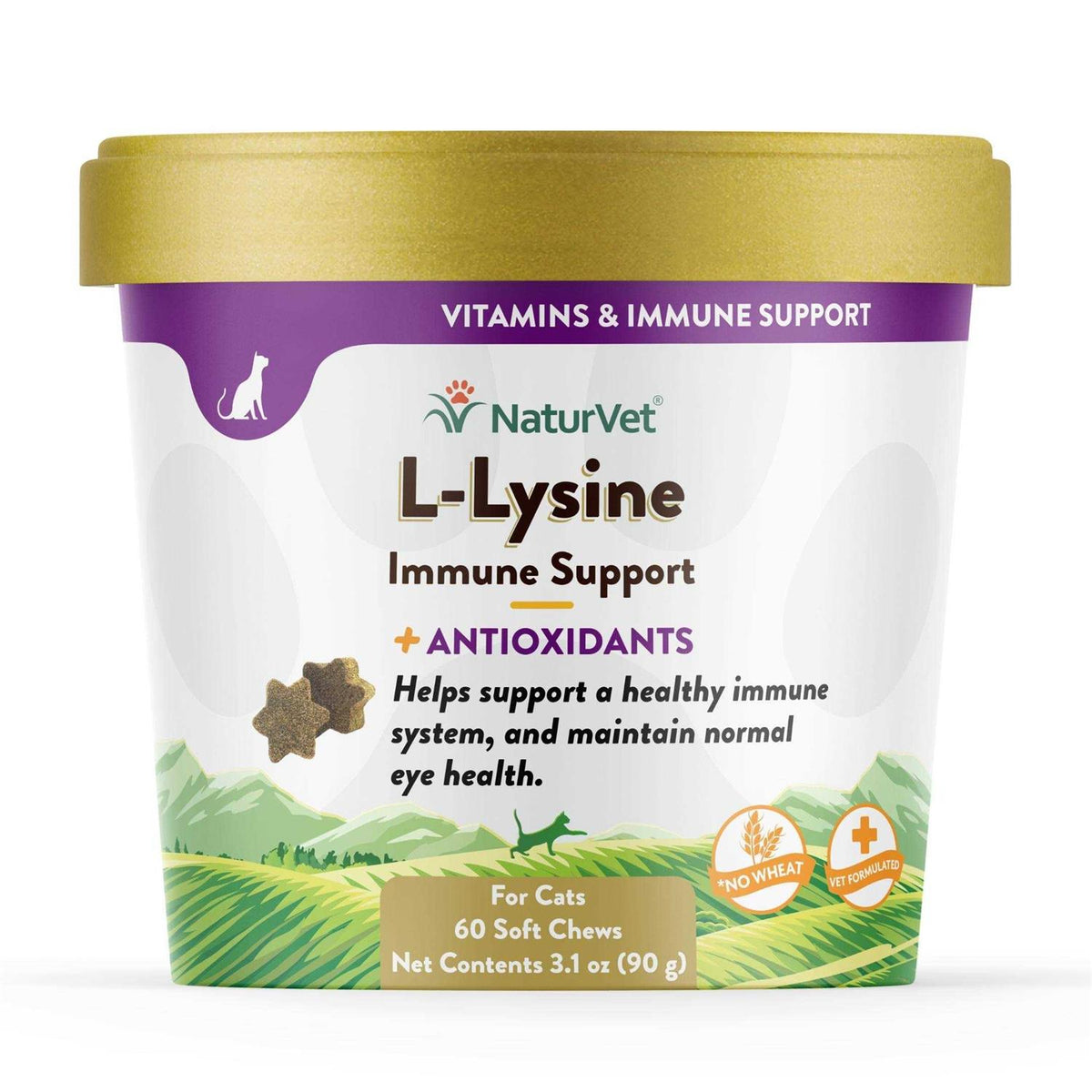 L-Lysine Immune Support Plus Antioxidants U574081