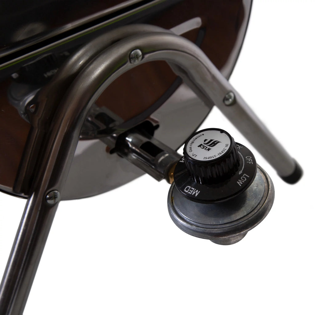 Stainless Steel Gas Barbeque Grill V209681