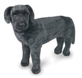 Plush Black Lab O8372