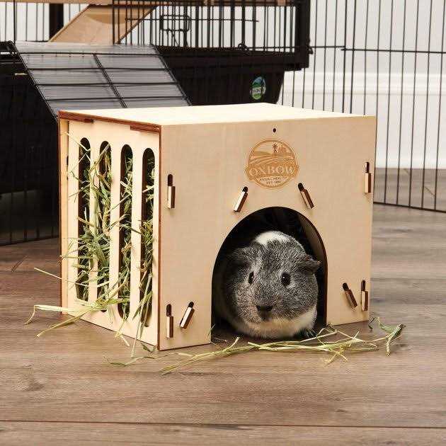 Enriched Life Hay House G502