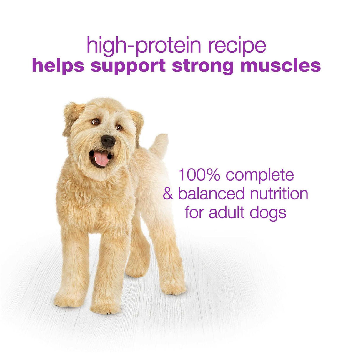 Wet Dog Food High Protein Variety Pack M463723