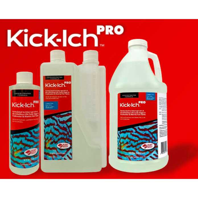 Kick Ich Pro Q880342