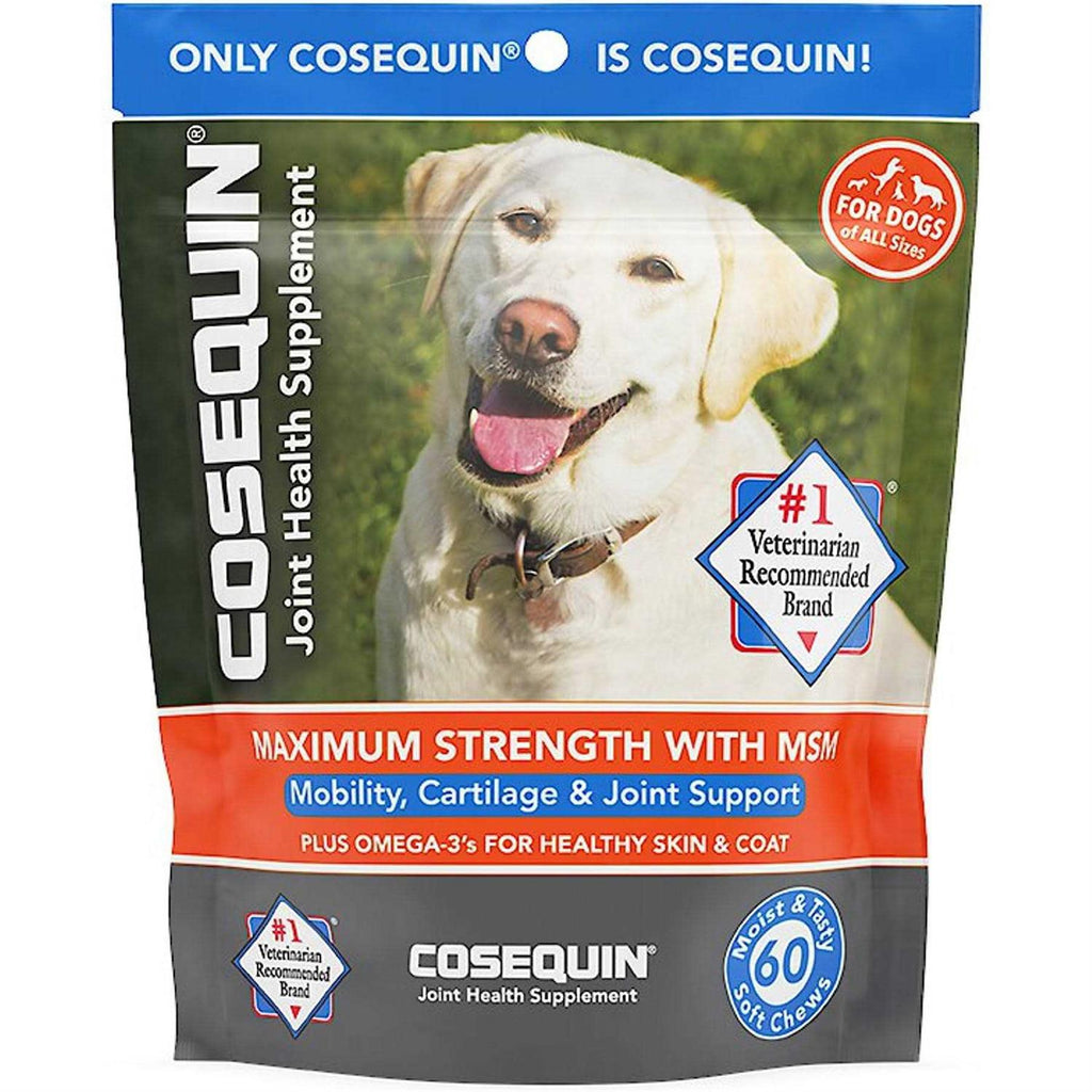 Soft Chews with MSM Plus Omega-3s for Dogs W372