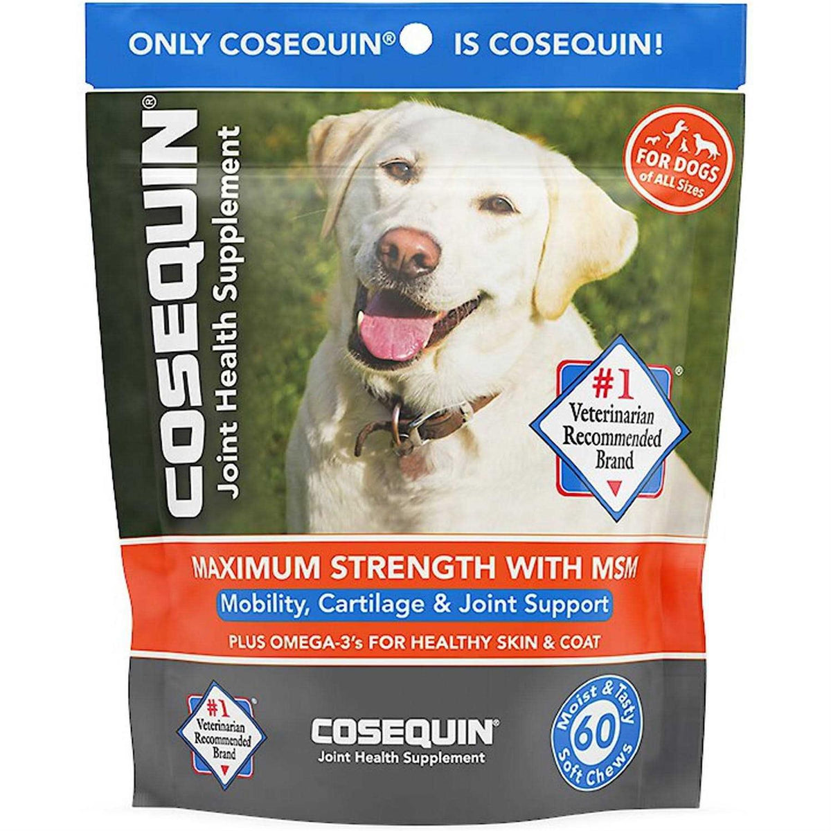 Soft Chews with MSM Plus Omega-3s for Dogs W372