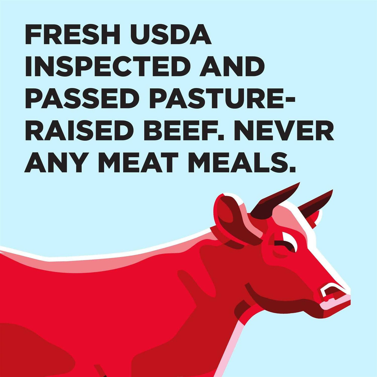 Grain Free Beef Dry Dog Food N7803
