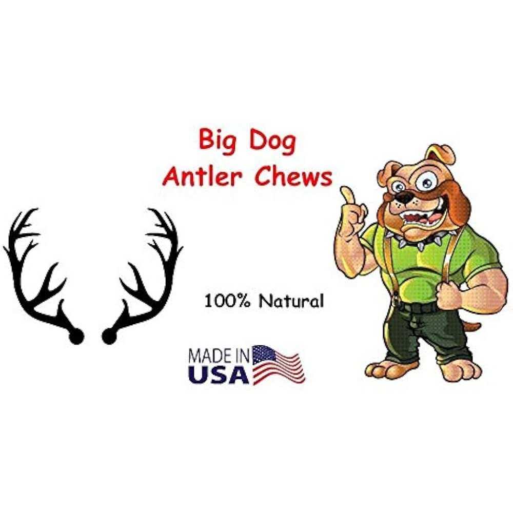 Whitetail Deer Antler Dog Chew Medium O6936