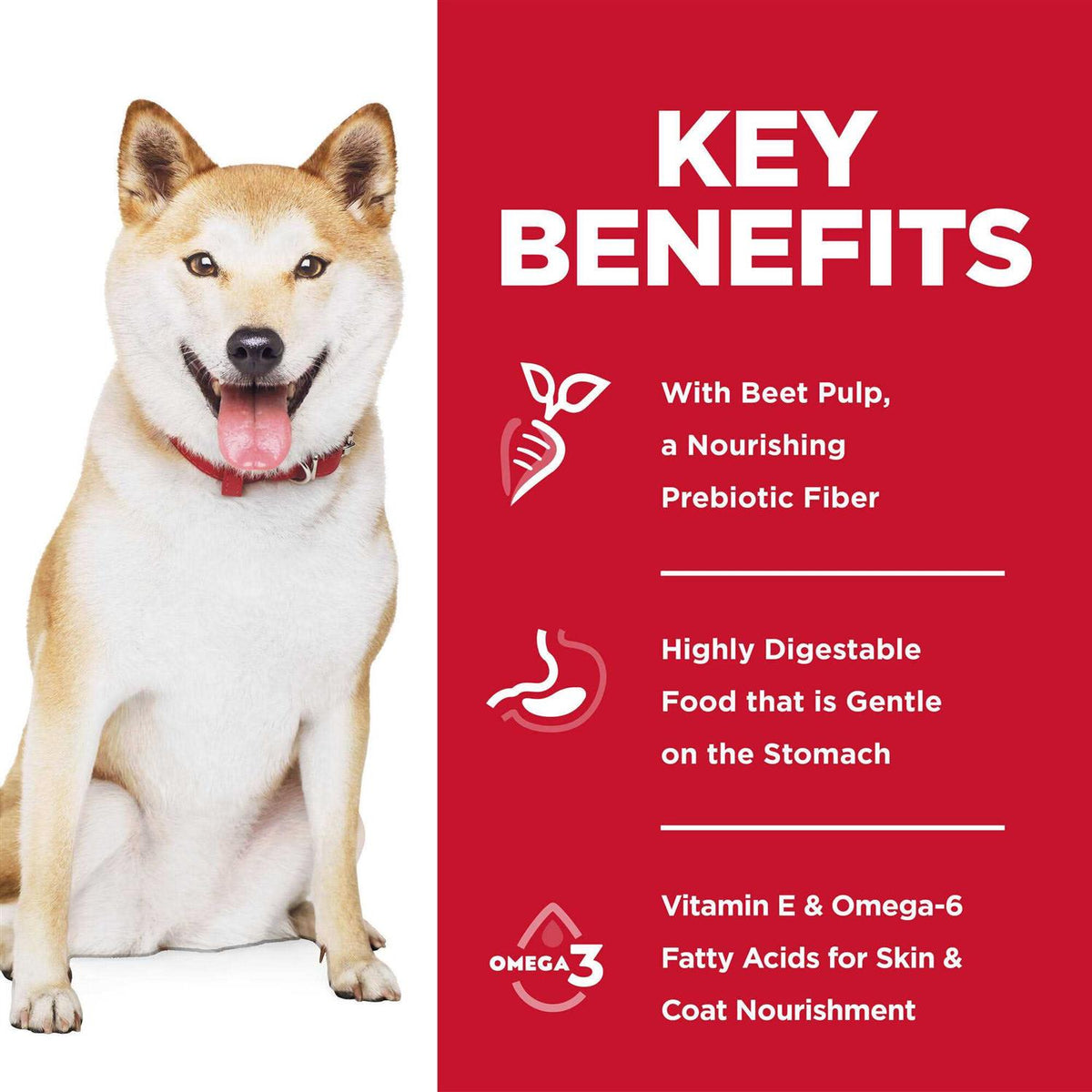 Sensitive Stomach & Skin Adult Dog Food U87816